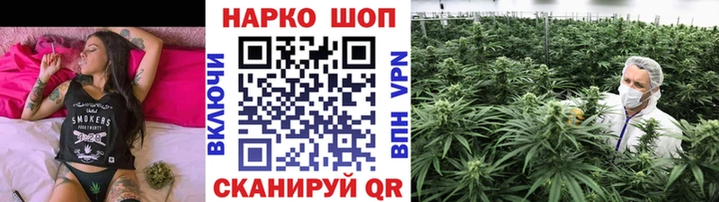 Псилоцибиновые грибы Ивангород