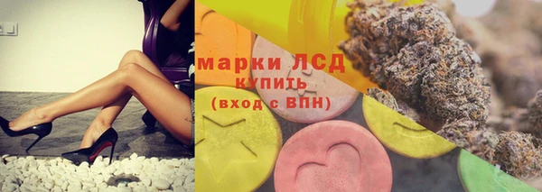 хмурый Алзамай
