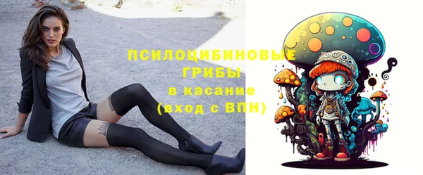 хмурый Алзамай