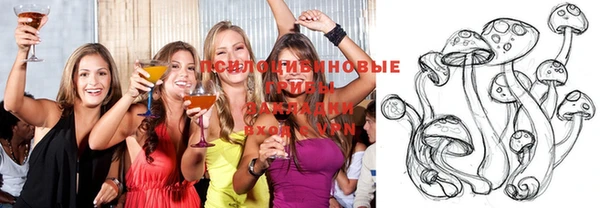 крисы Заволжье