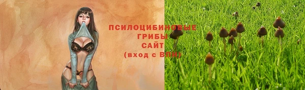 гидропоника Алексеевка
